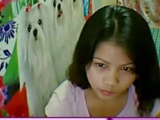 ไทย คุย lassie