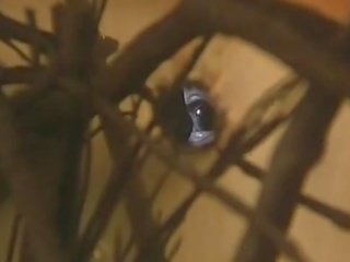 カーマスートラ 大人 映画